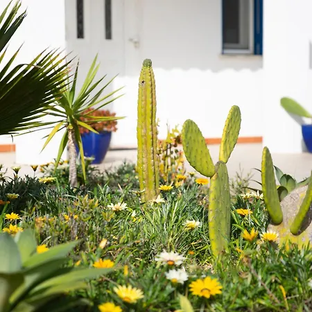 Дом отдыха Marecasa Алжезур