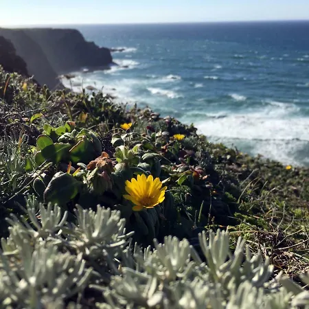 Дом отдыха Marecasa