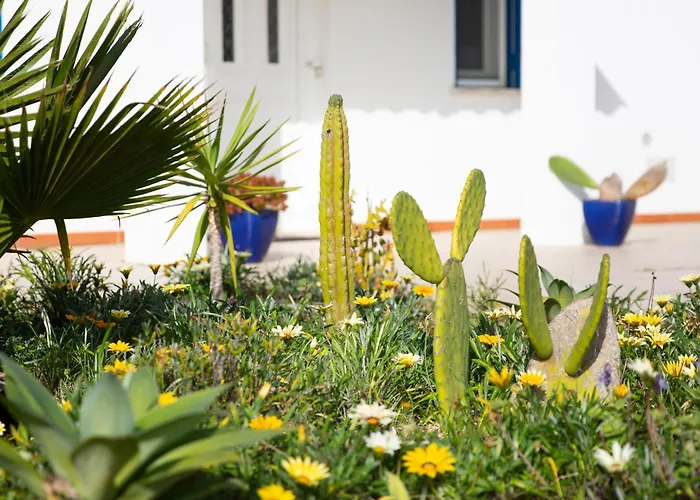 別荘 Marecasa アルジェズール